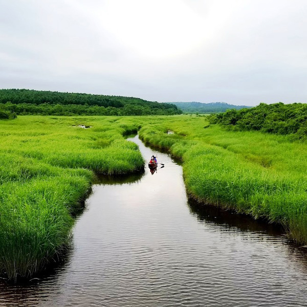 Pic:Canoe guide